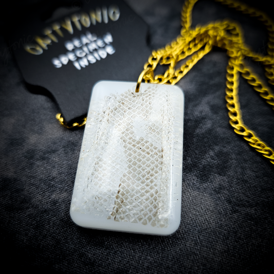Real Snakeskin Pendant Necklace