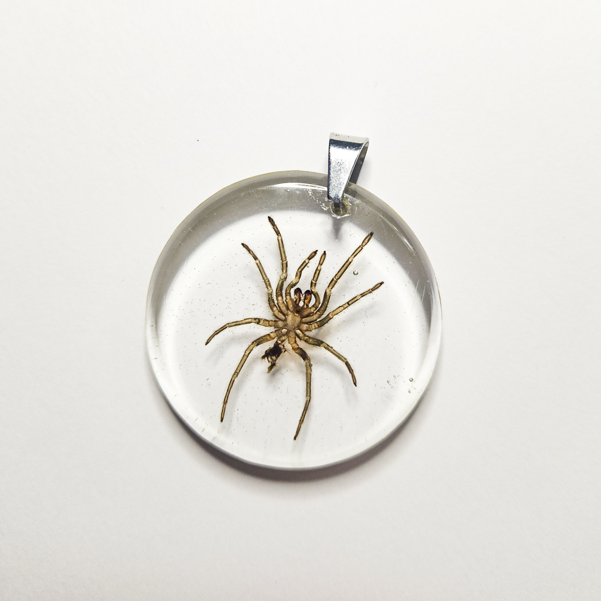 Purple Earth Tiger Tarantula Molt Resin Pendant