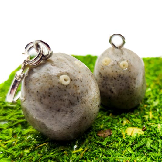 Pet Rock Charm