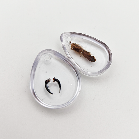 2 Tarantula Specimen Resin Pendants