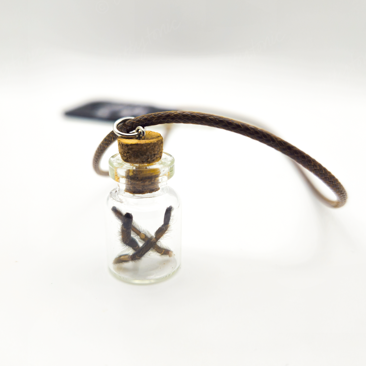 Specimen Jar Necklace