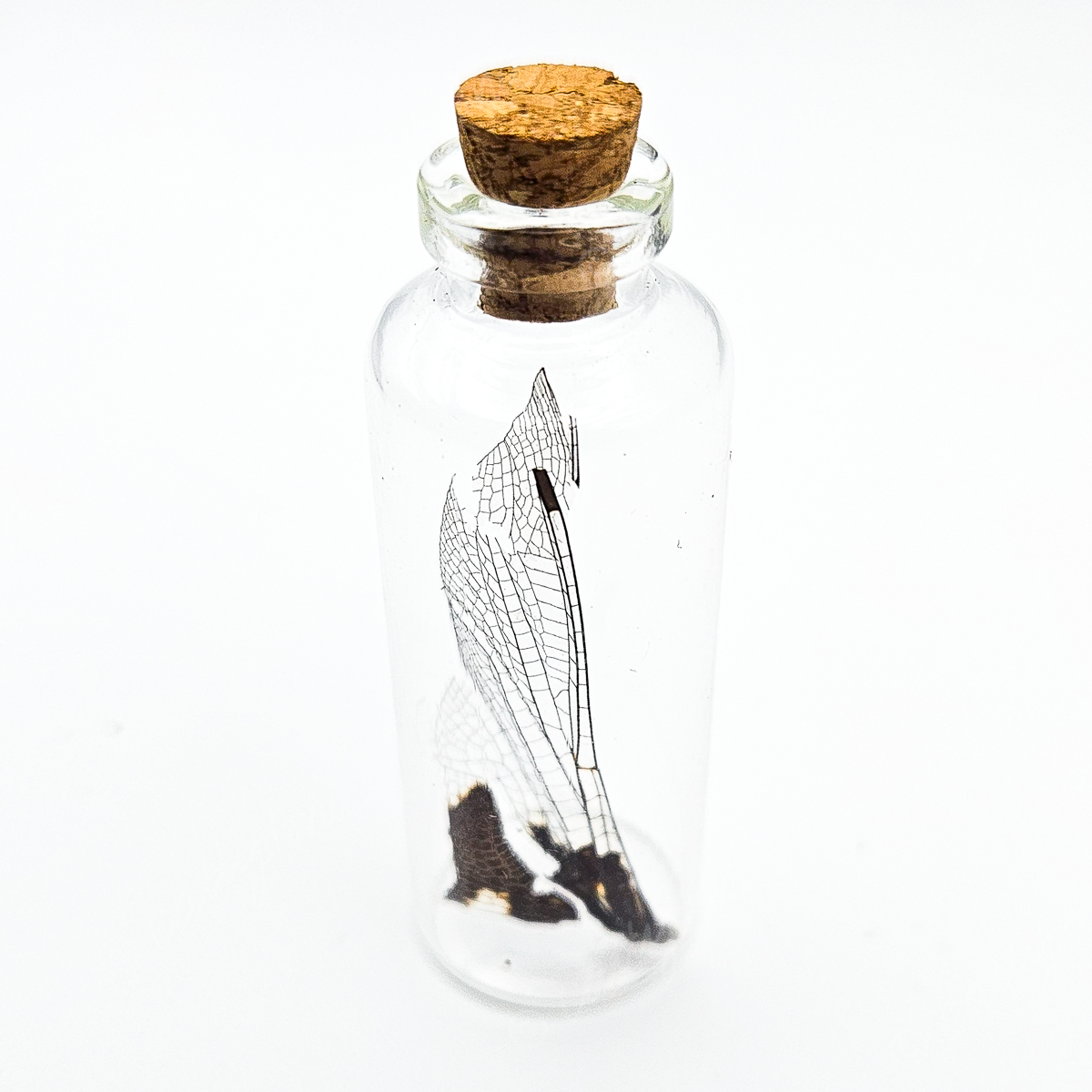 Dragonfly Wing Jars