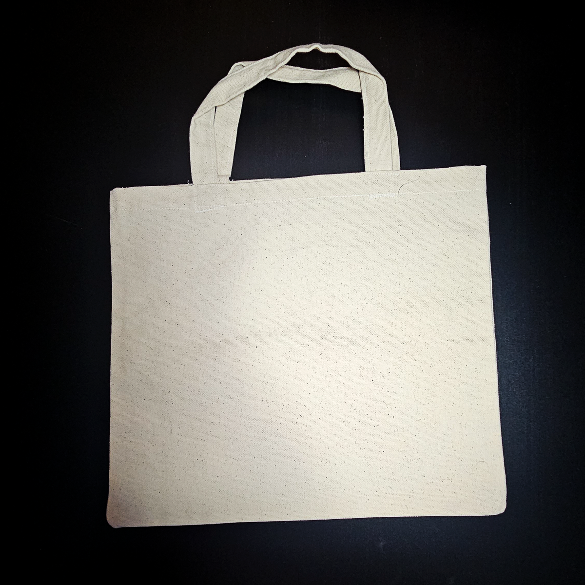 Ghost Canvas Bags