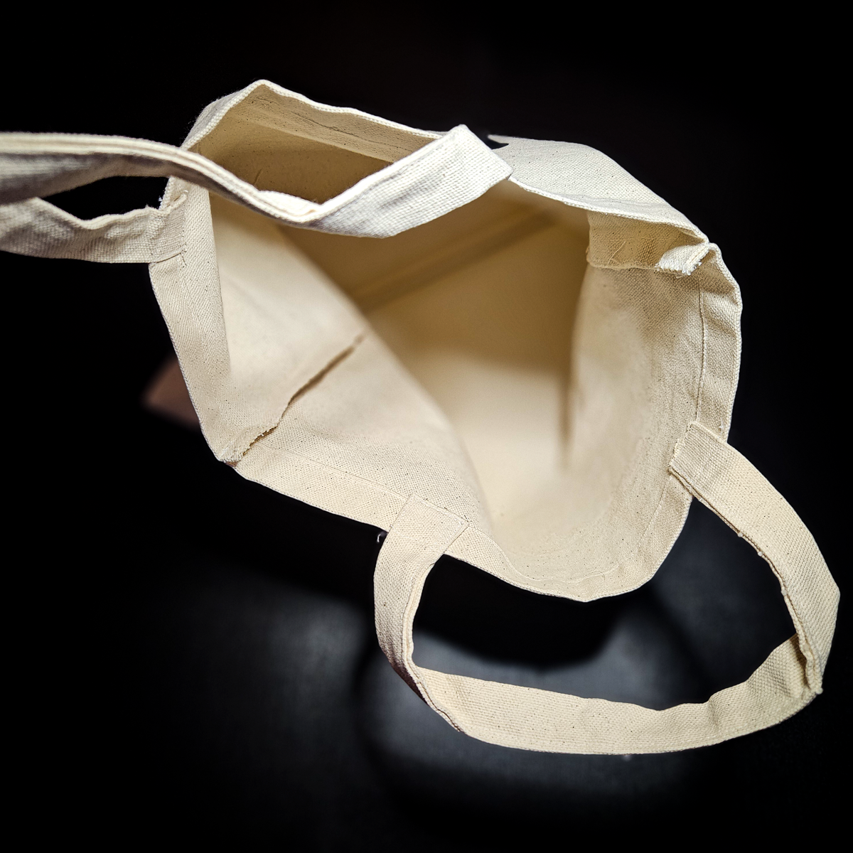Ghost Canvas Bags
