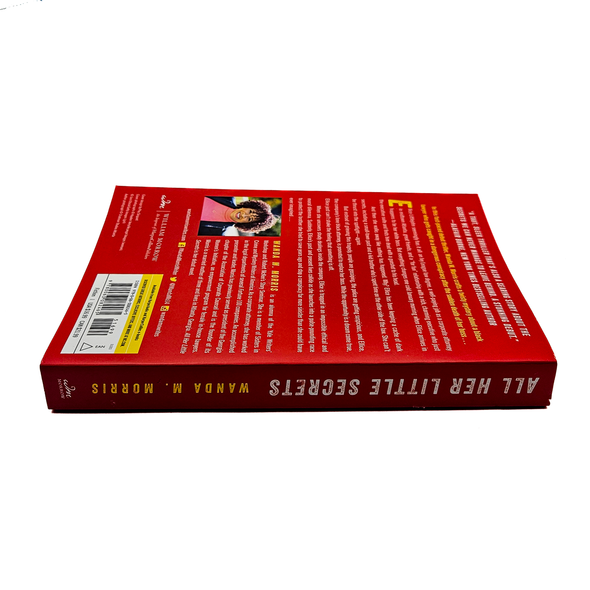 All Her Little Secrets - Thriller Paperback by Wanda M. Morris