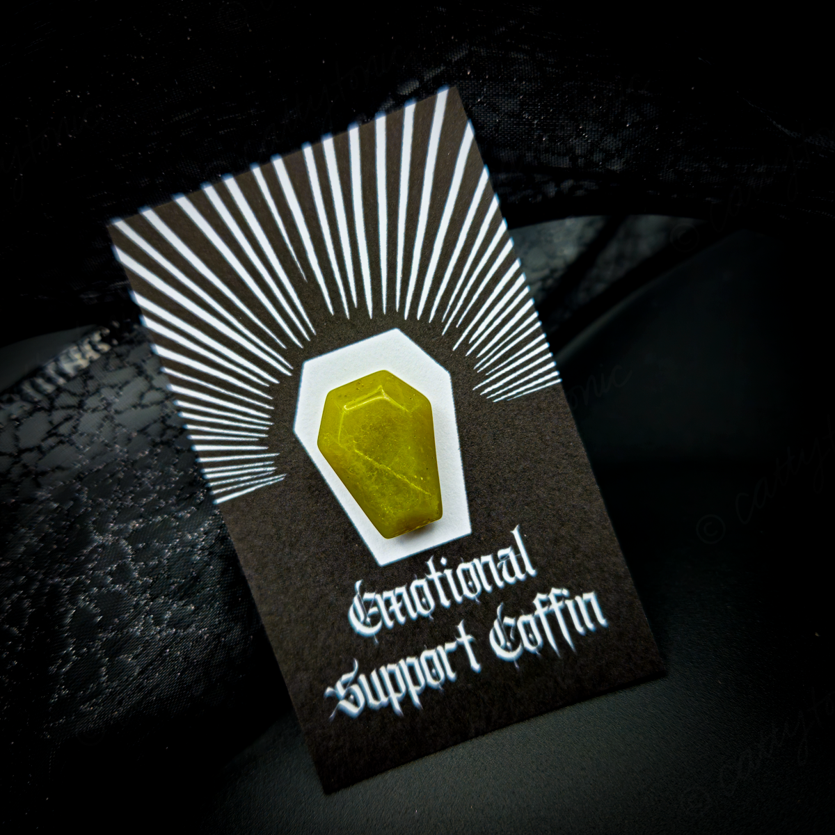Emotional Support Coffins