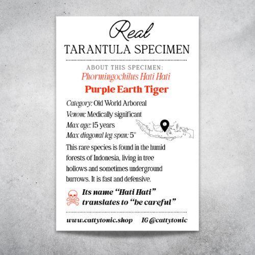 Purple Earth Tiger Tarantula Molt Resin Pendant