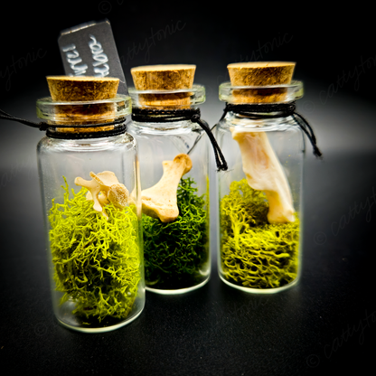 Mammal Bone Specimen Jar