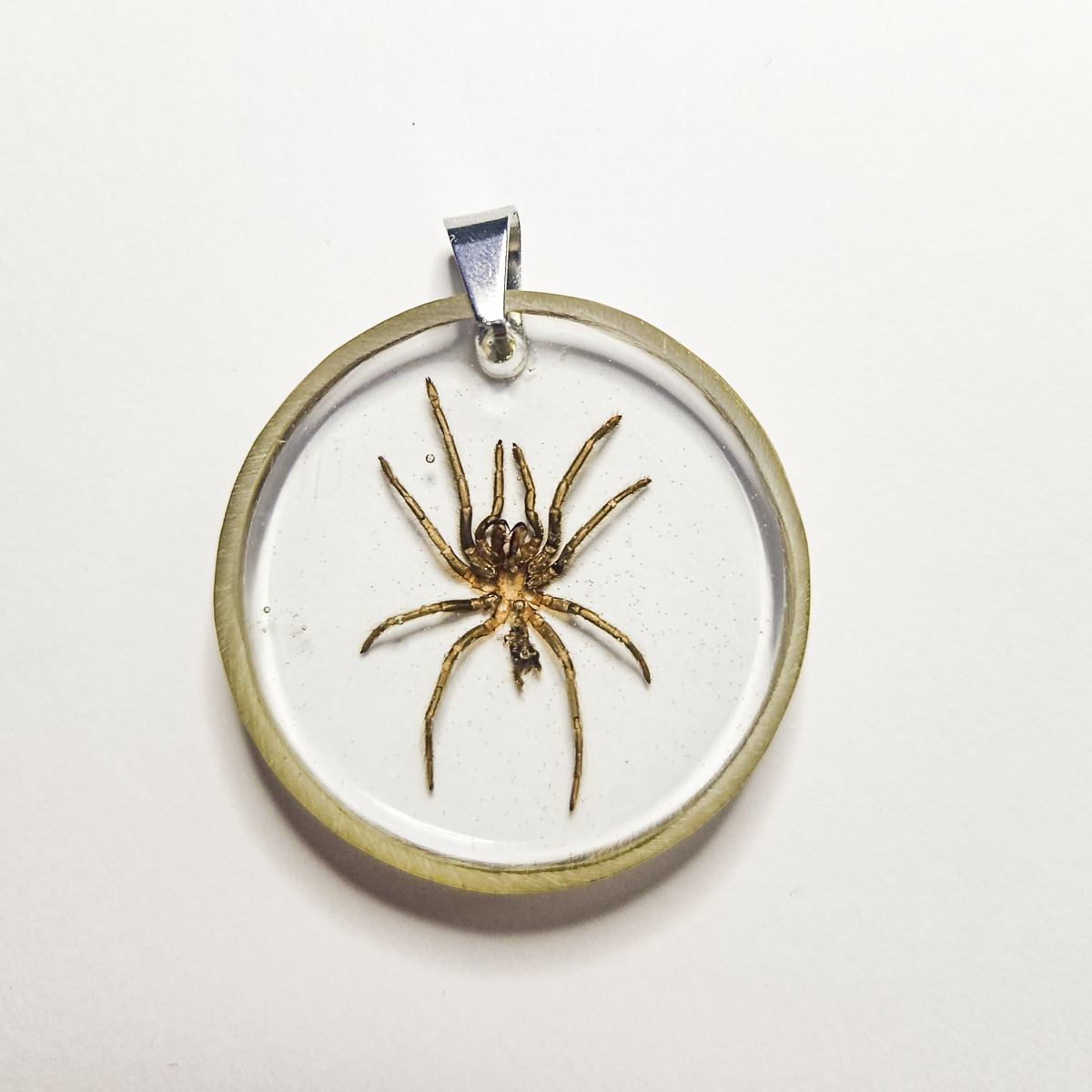 Purple Earth Tiger Tarantula Molt Resin Pendant