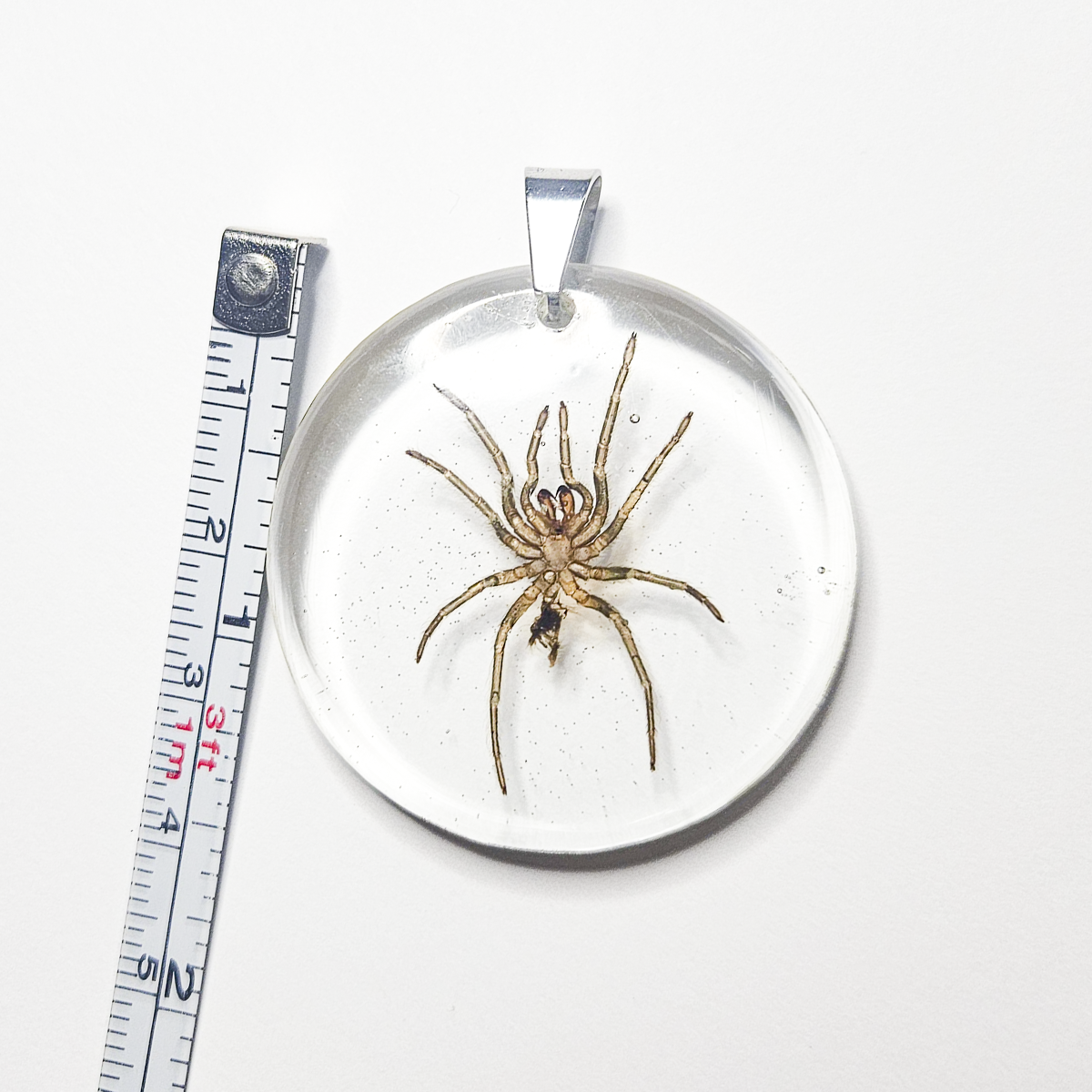 Purple Earth Tiger Tarantula Molt Resin Pendant