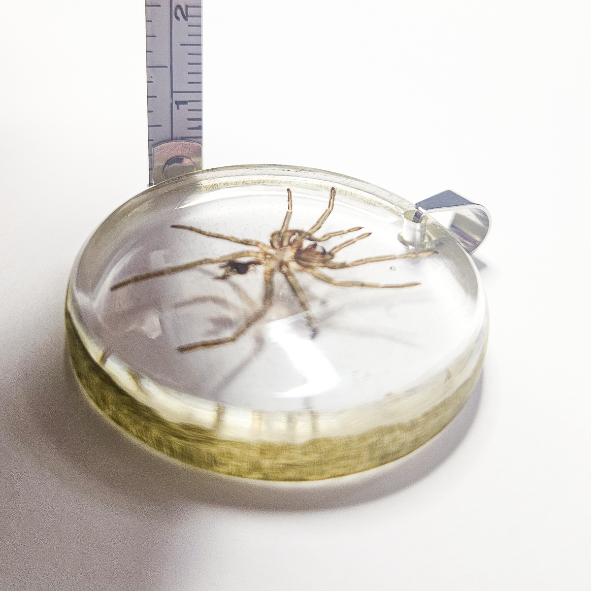 Purple Earth Tiger Tarantula Molt Resin Pendant