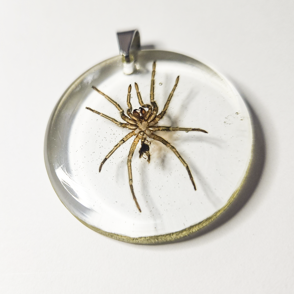 Purple Earth Tiger Tarantula Molt Resin Pendant