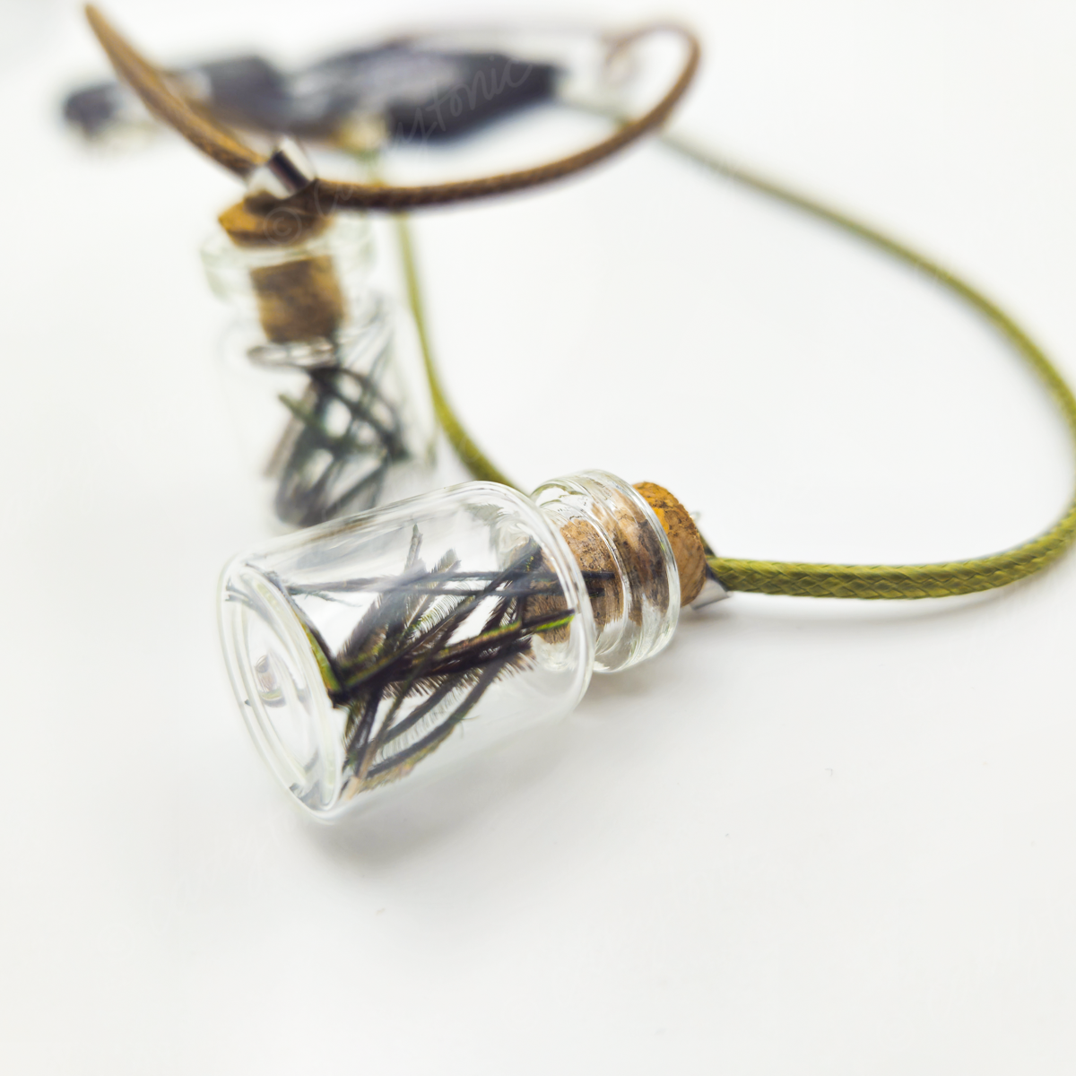 Specimen Jar Necklace