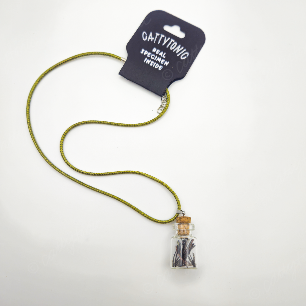 Specimen Jar Necklace