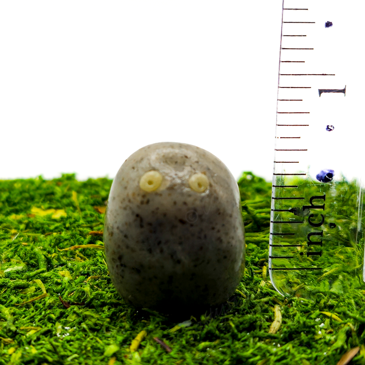 Pet Rock Charm