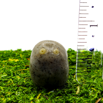 Pet Rock Charm