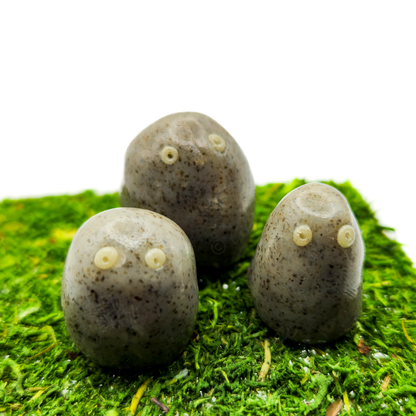 Pet Rock Charm