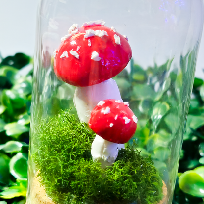 Mini Mushroom Display Cloche