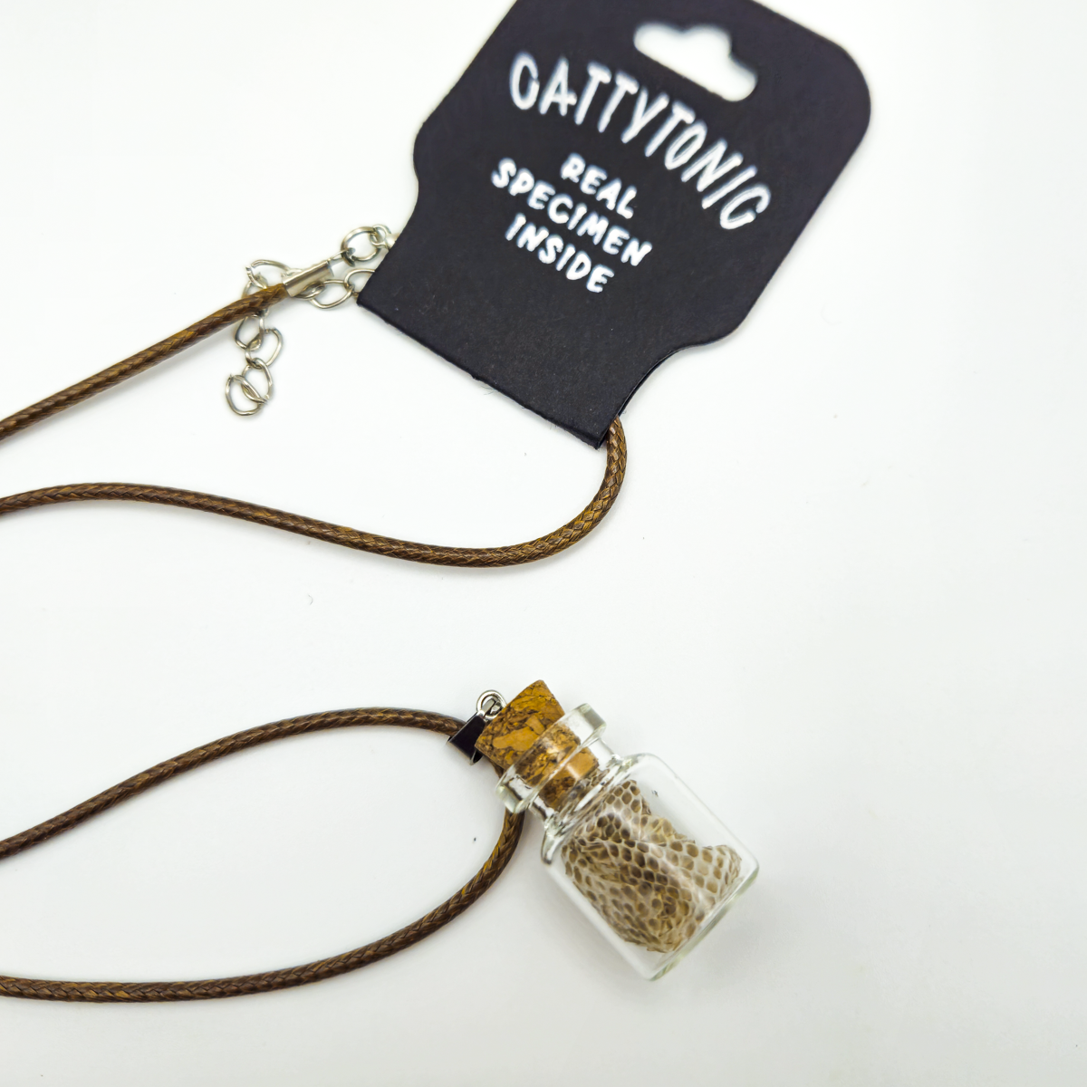 Specimen Jar Necklace
