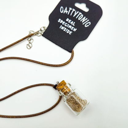 Specimen Jar Necklace