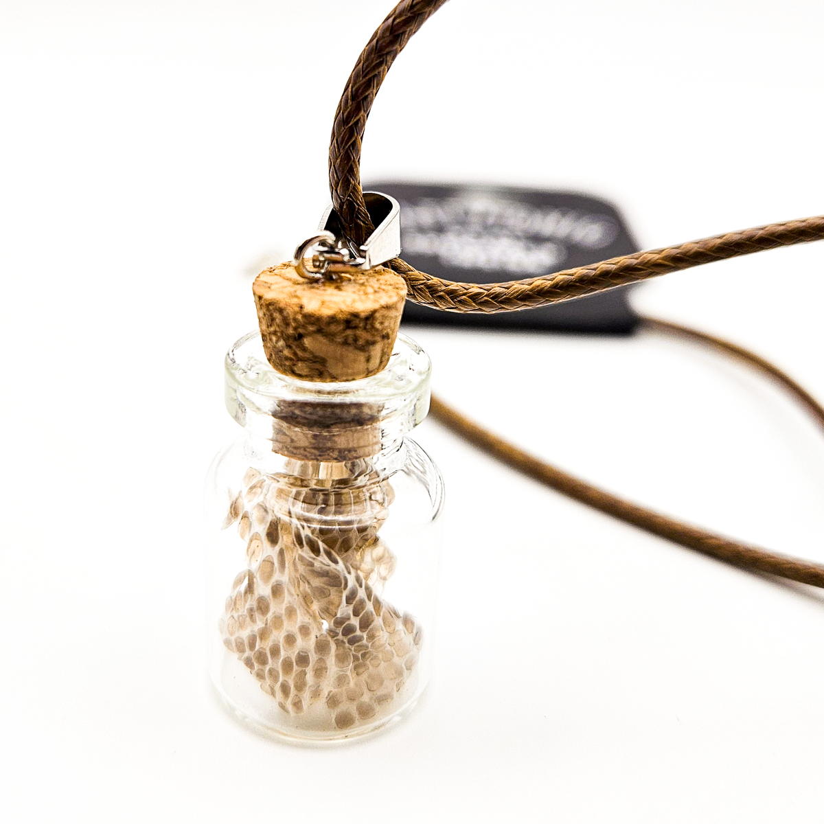 Specimen Jar Necklace
