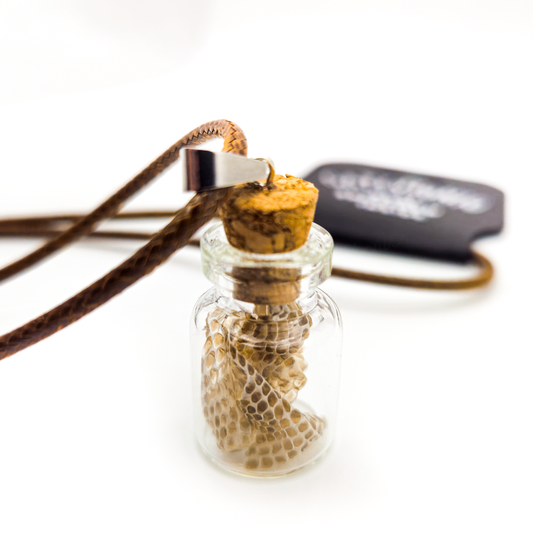 Specimen Jar Necklace