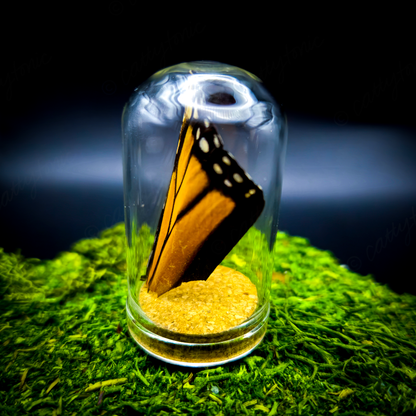 Butterfly Wing Jar