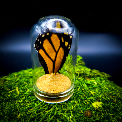 Butterfly Wing Jar