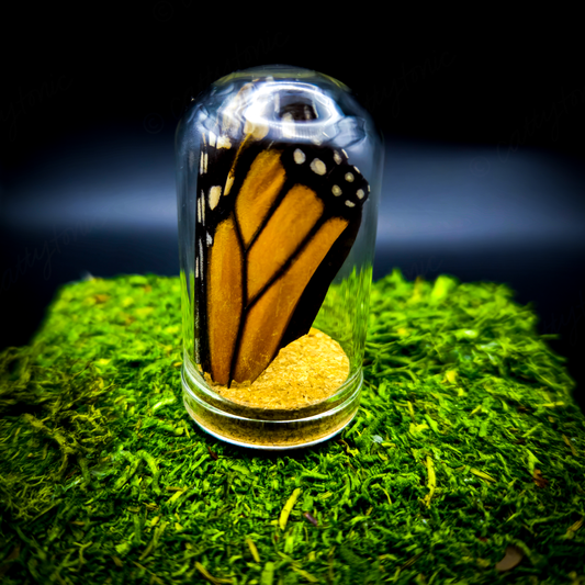 Butterfly Wing Jar