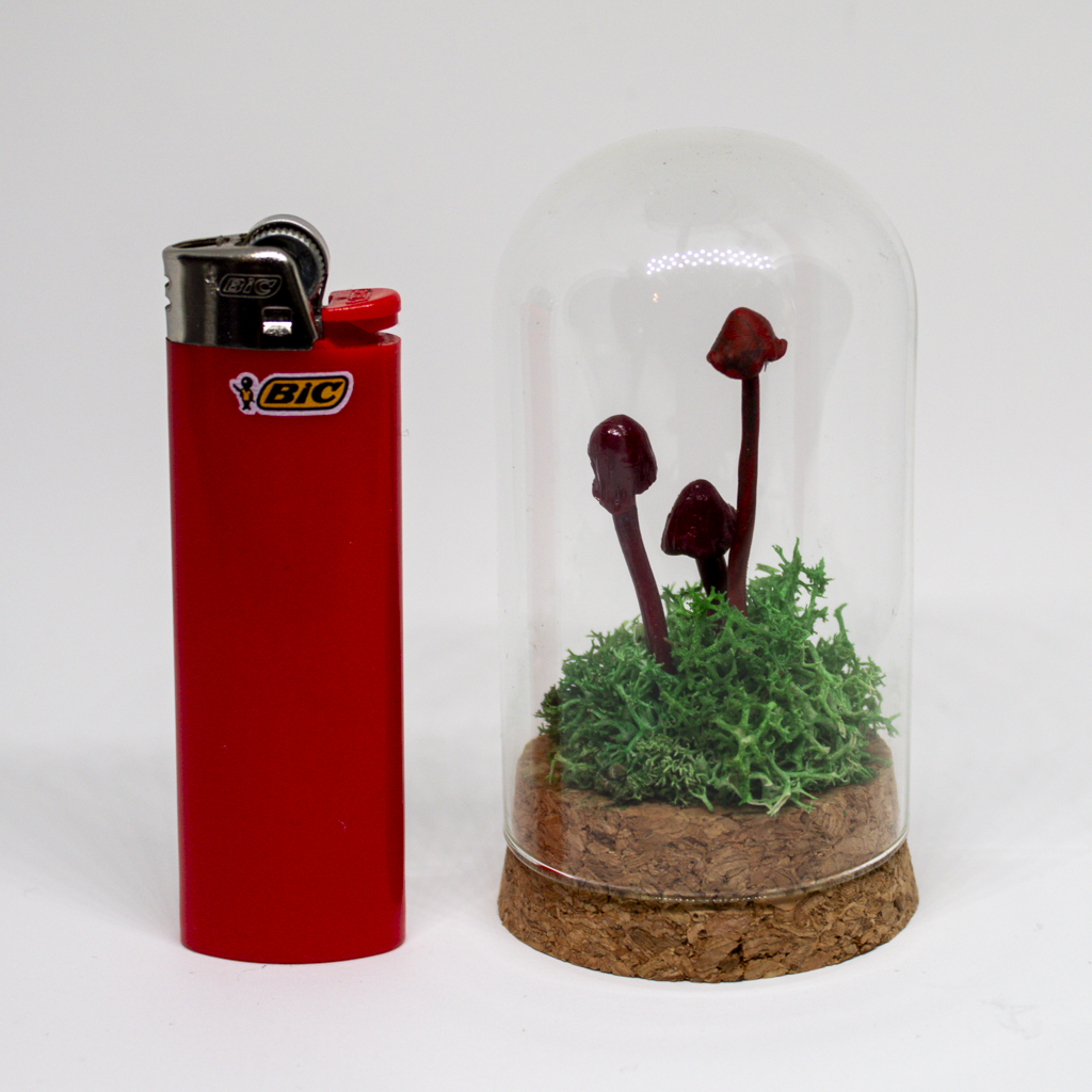 Jan20-Products-SM-36.png