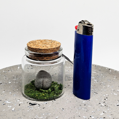 Mar12-Products-SM-7.png