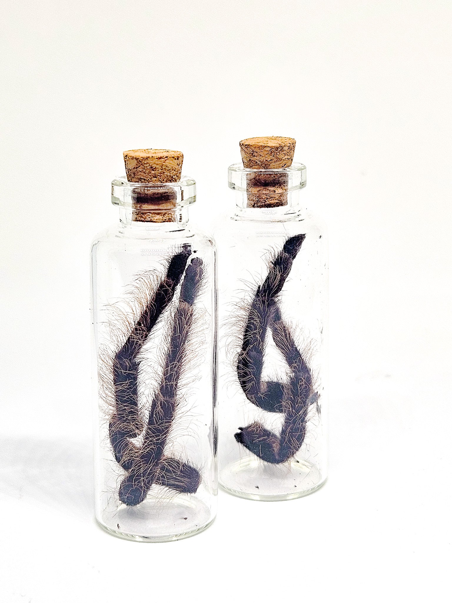 20251118_225153-2.jpg