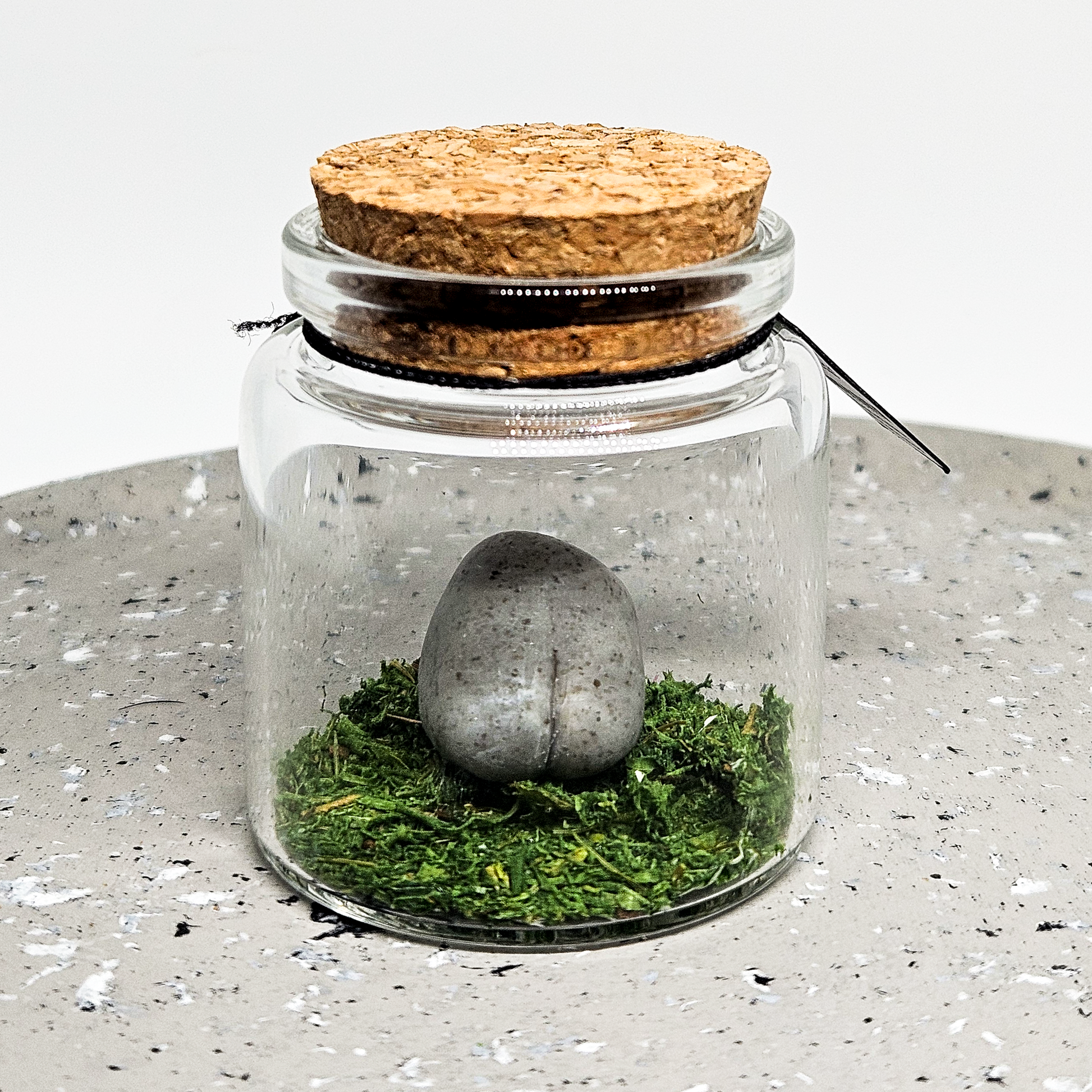 Mar12-Products-SM-6.png