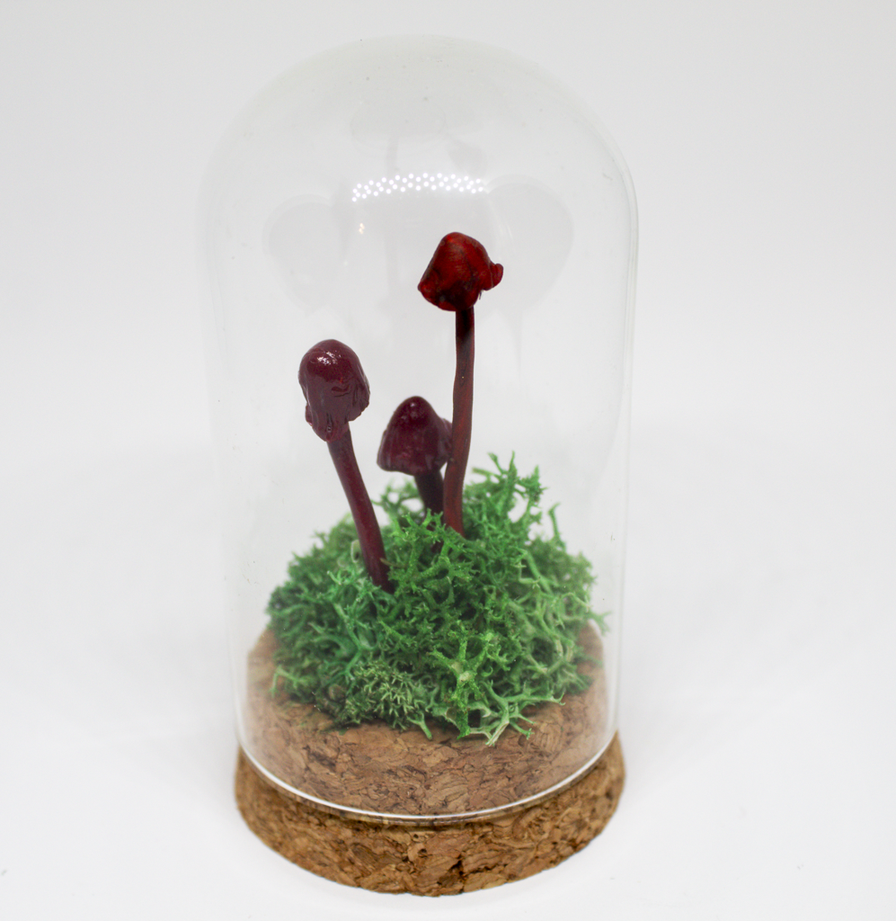 Jan20-Products-SM-37.png