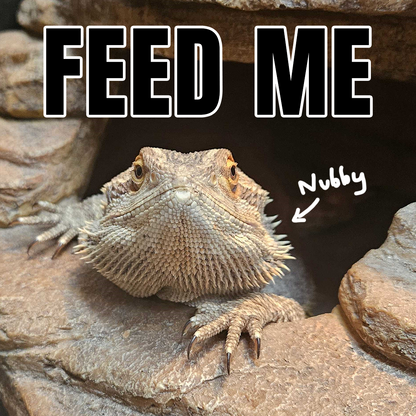 BMAC Product - Nubby.png