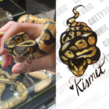 Pet Portrait.png